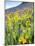 USA, Colorado, Crested Butte. Wildflowers covering hillside.-Jaynes Gallery-Mounted Photographic Print