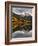USA, Colorado, Crystal Lake, Red Mountain Number 1 Near Ouray-Ann Collins-Framed Photographic Print