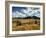 USA, Colorado, Dallas Divide, Last Dollar Ranch-Ann Collins-Framed Photographic Print