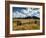 USA, Colorado, Dallas Divide, Last Dollar Ranch-Ann Collins-Framed Photographic Print