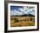 USA, Colorado, Dallas Divide, Last Dollar Ranch-Ann Collins-Framed Photographic Print