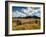 USA, Colorado, Dallas Divide, Last Dollar Ranch-Ann Collins-Framed Photographic Print