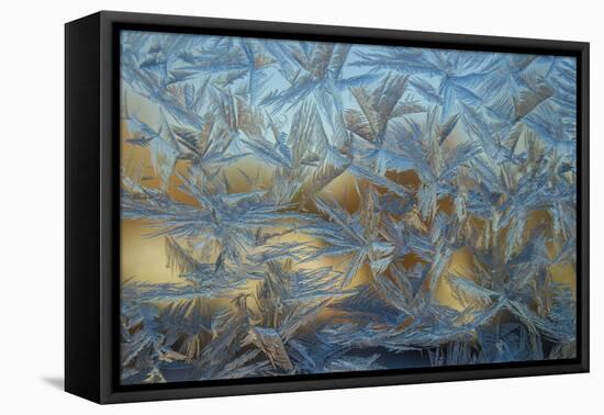 USA, Colorado, Denver. Frost on a Window-Cathy & Gordon Illg-Framed Premier Image Canvas