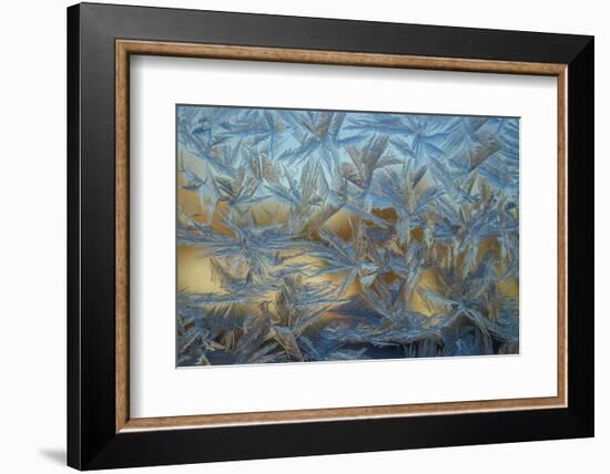 USA, Colorado, Denver. Frost on a Window-Cathy & Gordon Illg-Framed Photographic Print