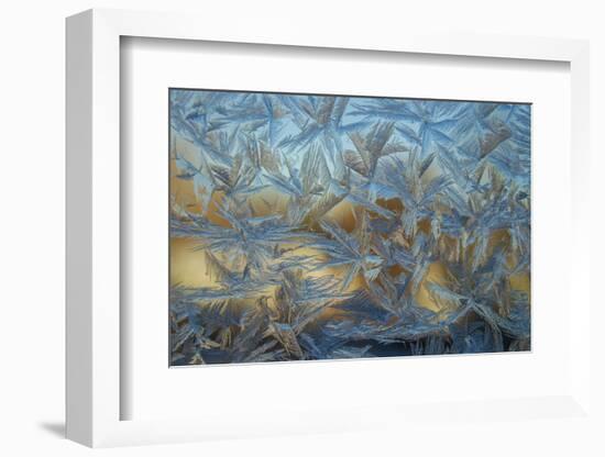 USA, Colorado, Denver. Frost on a Window-Cathy & Gordon Illg-Framed Photographic Print