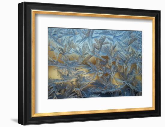 USA, Colorado, Denver. Frost on a Window-Cathy & Gordon Illg-Framed Photographic Print