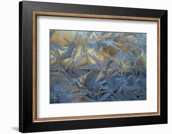 USA, Colorado, Denver. Frost on a Window-Cathy & Gordon Illg-Framed Photographic Print