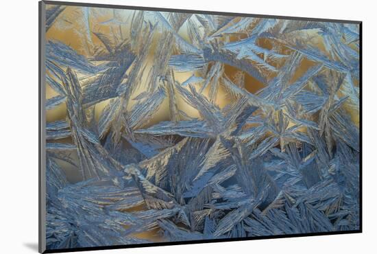 USA, Colorado, Denver. Frost on a Window-Cathy & Gordon Illg-Mounted Photographic Print