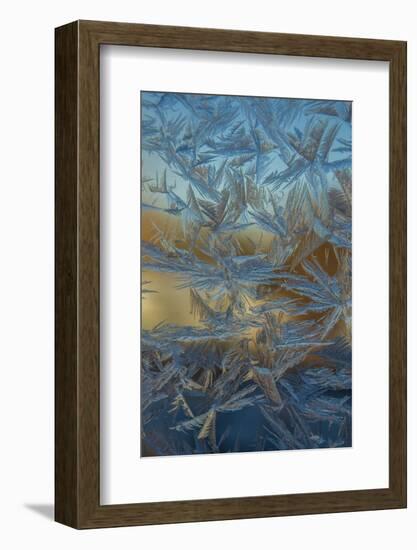 USA, Colorado, Denver. Frost on a Window-Cathy & Gordon Illg-Framed Photographic Print