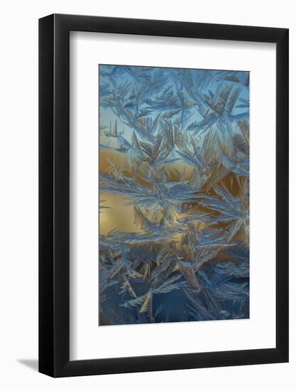 USA, Colorado, Denver. Frost on a Window-Cathy & Gordon Illg-Framed Photographic Print