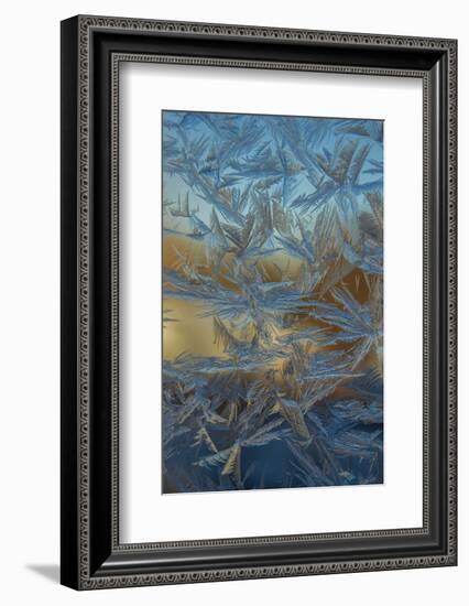 USA, Colorado, Denver. Frost on a Window-Cathy & Gordon Illg-Framed Photographic Print