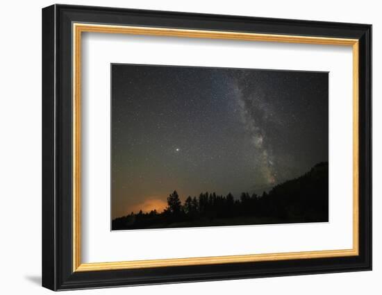 USA, Colorado, Eleven Mile Canyon. The Milky Way galaxy and forest silhouette at night.-Jaynes Gallery-Framed Photographic Print