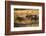 USA, Colorado, Estes Park, Rocky Mountain National Park Bull Elk Bugling-Bernard Friel-Framed Photographic Print