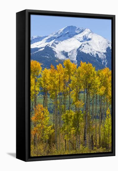 USA, Colorado. Fall Aspens and Mountain-Jaynes Gallery-Framed Premier Image Canvas
