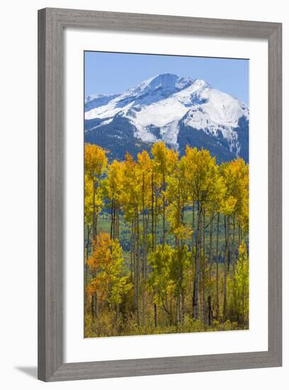 USA, Colorado. Fall Aspens and Mountain-Jaynes Gallery-Framed Photographic Print