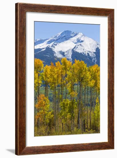 USA, Colorado. Fall Aspens and Mountain-Jaynes Gallery-Framed Photographic Print