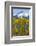 USA, Colorado. Fall Aspens and Mountain-Jaynes Gallery-Framed Photographic Print