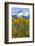 USA, Colorado. Fall Aspens and Mountain-Jaynes Gallery-Framed Photographic Print