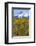 USA, Colorado. Fall Aspens and Mountain-Jaynes Gallery-Framed Photographic Print