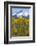 USA, Colorado. Fall Aspens and Mountain-Jaynes Gallery-Framed Photographic Print