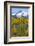 USA, Colorado. Fall Aspens and Mountain-Jaynes Gallery-Framed Photographic Print