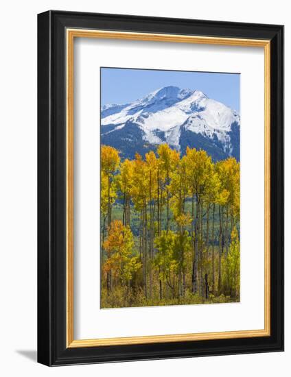 USA, Colorado. Fall Aspens and Mountain-Jaynes Gallery-Framed Photographic Print