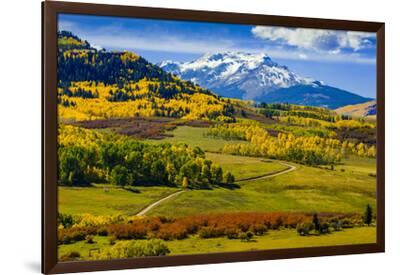 White pages colorado noredaustralian - Usa Colorado Fall Colors Vista U L Q1d1cmx2glx1f 
