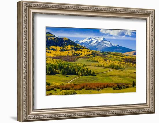 USA, Colorado, fall colors, vista-George Theodore-Framed Photographic Print