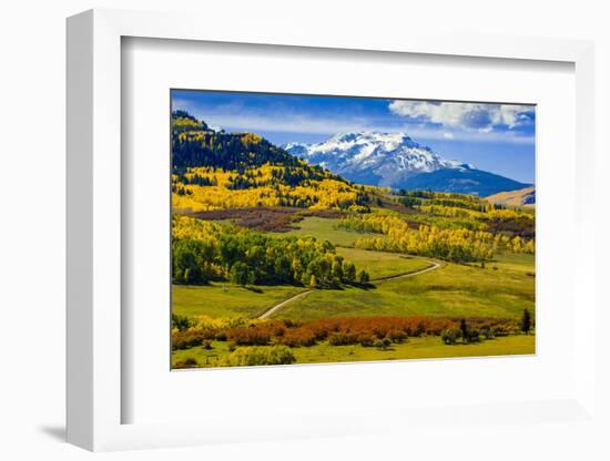 USA, Colorado, fall colors, vista-George Theodore-Framed Photographic Print