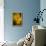 USA, Colorado, Fort Collins. Yellow coreopsis flowers.-Jaynes Gallery-Framed Premier Image Canvas displayed on a wall