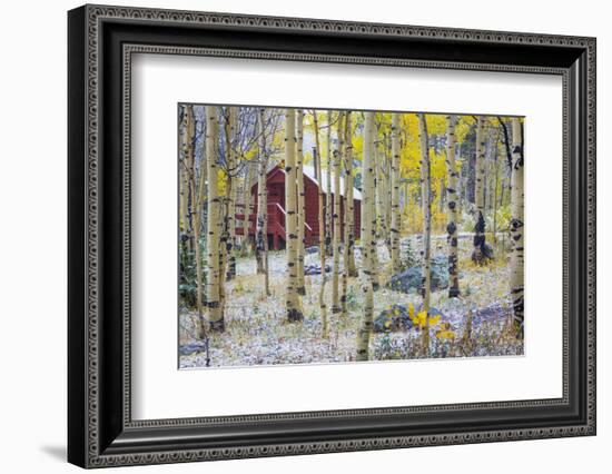 USA, Colorado, Grand Mesa. Solitary Cabin in a Forest-Jaynes Gallery-Framed Photographic Print