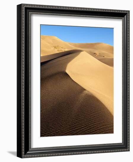 USA, Colorado, Great Sand Dunes National Park and Preserve. Dunes in Morning Light-Ann Collins-Framed Photographic Print