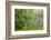 USA, Colorado, Gunnison National Forest. Close-Up of Lupine and Pine Tree Limbs-Jaynes Gallery-Framed Photographic Print