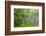 USA, Colorado, Gunnison National Forest. Close-Up of Lupine and Pine Tree Limbs-Jaynes Gallery-Framed Photographic Print