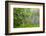 USA, Colorado, Gunnison National Forest. Close-Up of Lupine and Pine Tree Limbs-Jaynes Gallery-Framed Photographic Print