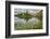 USA, Colorado, Gunnison National Forest. Paradise Divide and Pond Reflection-Jaynes Gallery-Framed Photographic Print