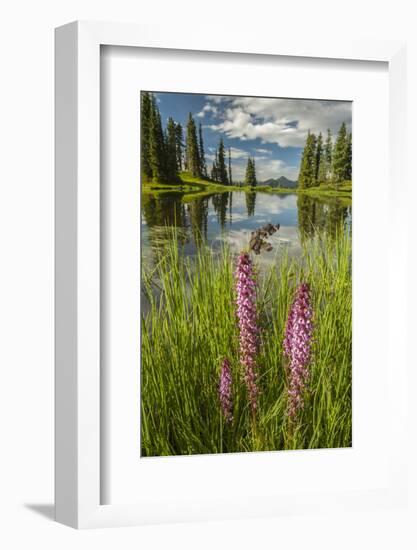 USA, Colorado, Gunnison National Forest. Paradise Divide and Pond Reflection-Jaynes Gallery-Framed Photographic Print