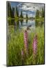USA, Colorado, Gunnison National Forest. Paradise Divide and Pond Reflection-Jaynes Gallery-Mounted Photographic Print