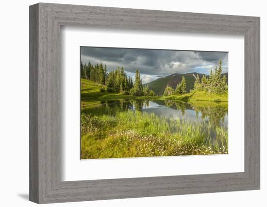 USA, Colorado, Gunnison National Forest. Paradise Divide and Pond Reflection-Jaynes Gallery-Framed Photographic Print