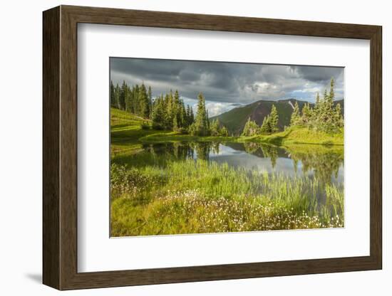 USA, Colorado, Gunnison National Forest. Paradise Divide and Pond Reflection-Jaynes Gallery-Framed Photographic Print