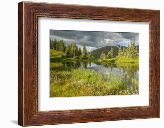 USA, Colorado, Gunnison National Forest. Paradise Divide and Pond Reflection-Jaynes Gallery-Framed Photographic Print