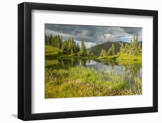 USA, Colorado, Gunnison National Forest. Paradise Divide and Pond Reflection-Jaynes Gallery-Framed Photographic Print