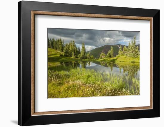 USA, Colorado, Gunnison National Forest. Paradise Divide and Pond Reflection-Jaynes Gallery-Framed Photographic Print