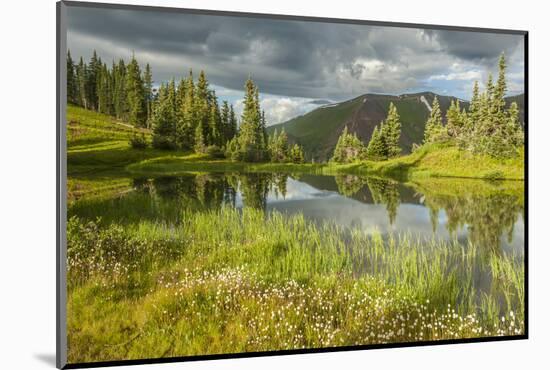 USA, Colorado, Gunnison National Forest. Paradise Divide and Pond Reflection-Jaynes Gallery-Mounted Photographic Print