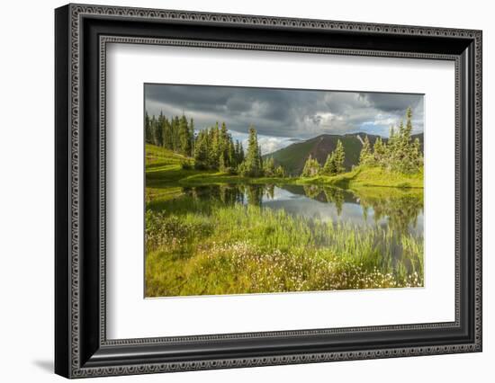 USA, Colorado, Gunnison National Forest. Paradise Divide and Pond Reflection-Jaynes Gallery-Framed Photographic Print