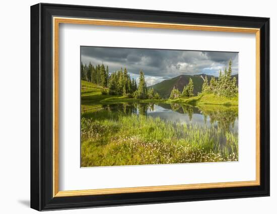 USA, Colorado, Gunnison National Forest. Paradise Divide and Pond Reflection-Jaynes Gallery-Framed Photographic Print