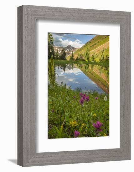 USA, Colorado, Gunnison National Forest. Paradise Divide and Pond Reflection-Jaynes Gallery-Framed Photographic Print