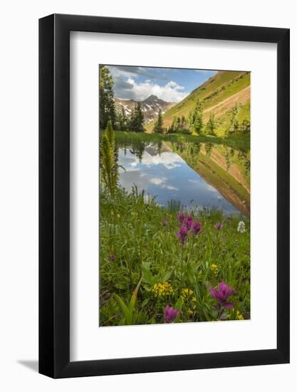 USA, Colorado, Gunnison National Forest. Paradise Divide and Pond Reflection-Jaynes Gallery-Framed Photographic Print