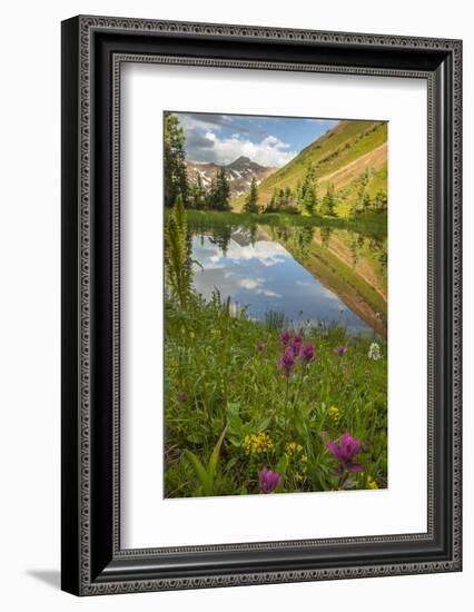 USA, Colorado, Gunnison National Forest. Paradise Divide and Pond Reflection-Jaynes Gallery-Framed Photographic Print