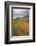 USA, Colorado, Gunnison NF. Aspen Grove at Peak Autumn Color-Don Grall-Framed Photographic Print